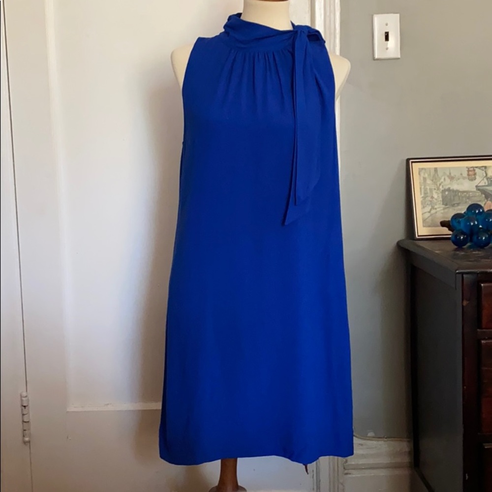 Ann Taylor Lined Shift Dress NWT 12P Dress